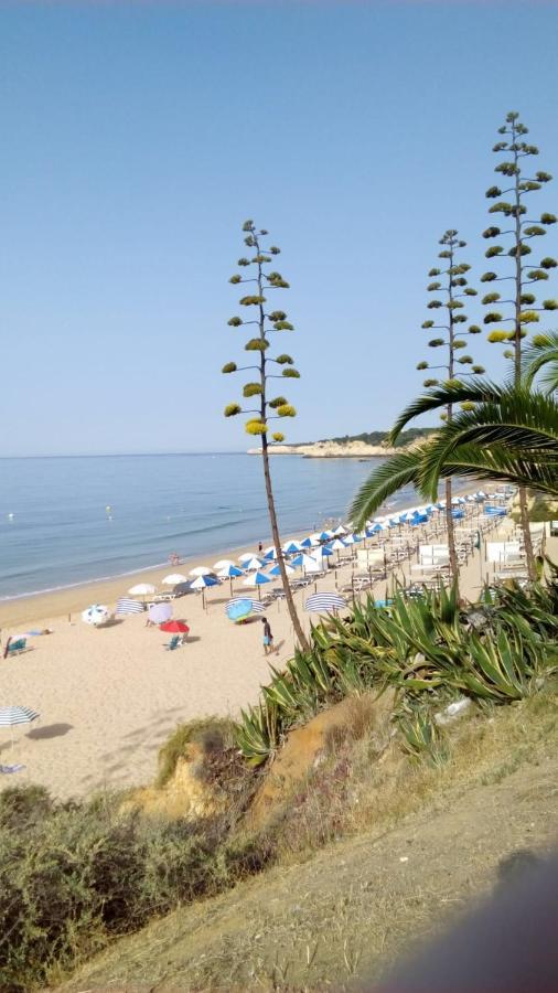 Apartamento Do Algarve Армасан-де-Пера Экстерьер фото