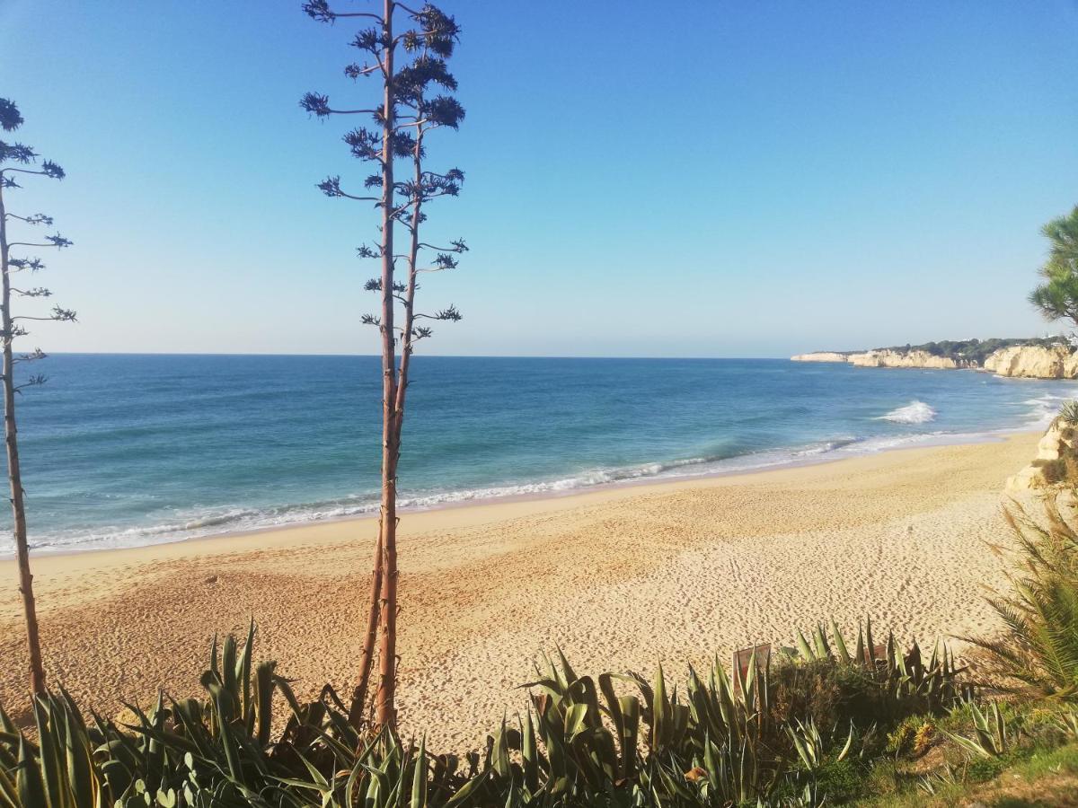 Apartamento Do Algarve Армасан-де-Пера Экстерьер фото