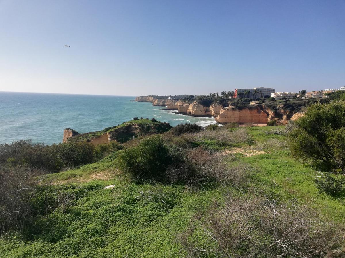 Apartamento Do Algarve Армасан-де-Пера Экстерьер фото